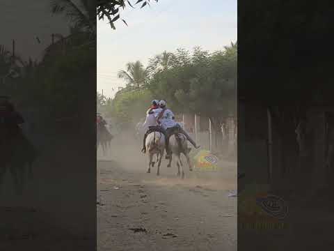 Tarde de Carreras a Caballo en Sabana Nueva M.I - San Pelayo