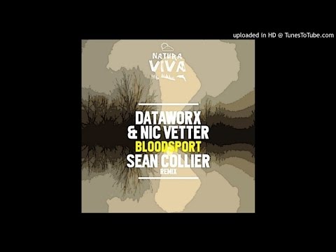 Dataworx, Nic Vetter - Bloodsport (Original Mix)