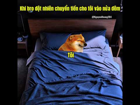 Khi bro đột nhiên chuyển tiền cho tôi vào nửa đêm #meme #catmeme
