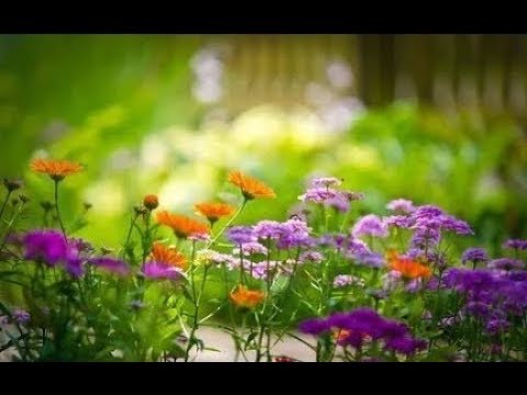 Beautiful Washington  Episode 2   Scenic Nature Documentary Film about Washington State   Episode 2