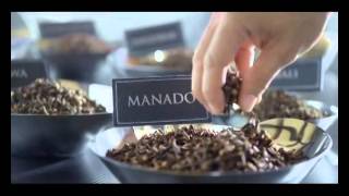 Download lagu Wismilak Diplomat - Master Stroke mp3 Download lagu Wismilak Diplomat - Master Stroke mp3