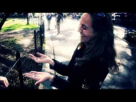 coin waltz dvd and gimmick by alex pandrea and the blue crown dvd