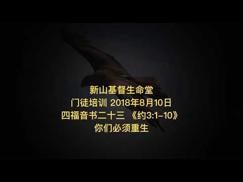 20180810 新山门训 福音书二十三《约3:1-10》你们必须重生