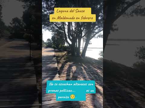 Laguna del Sauce en Maldonado Uruguay