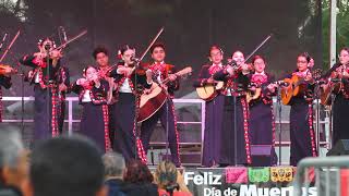 Los Bravos Mariachi band