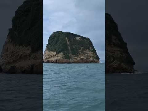 Isla de los pájaros Atacames Ecuador #Esmeraldas #ecuador #atacames