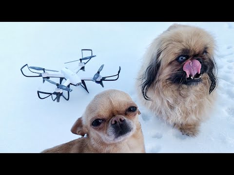 Новая ИГРУШКА! Обзор Квадрокоптера SG106