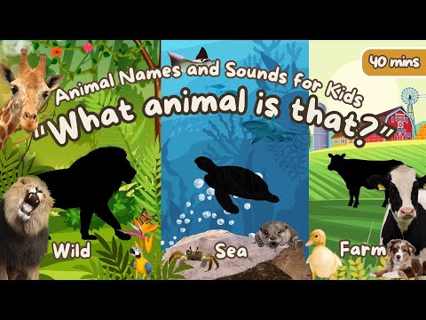 What's that Animal? | Learn Farm Animals, Sea Animals, and Wild Animal names and sounds for kids
