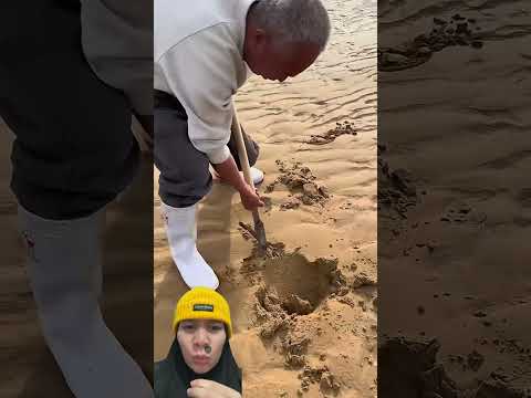 KAKEK GALI LUBANG DIPANTAI PAKAI SEKOP #shorts #comedy #funny