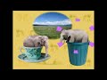 Elmo S World The Great Outdoor Part 4