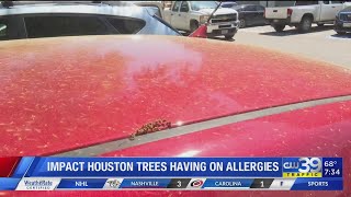 Houston doctor tries to provide relief to allergy sufferers