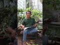 KURSUS BHS JEPANG Komedi Lucu Viral Ngakak Hiburan