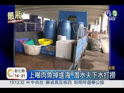 卸貨區視線昏暗 上噸魚貨掉進海