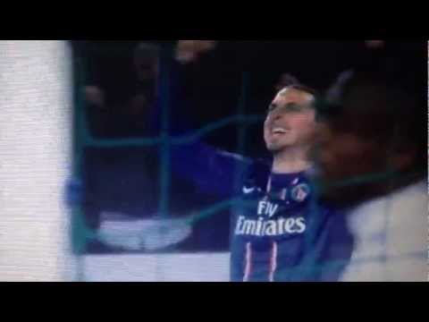 La joie d'Ibrahimovic sur le but de Gameiro - PSG 1-0 MHSC