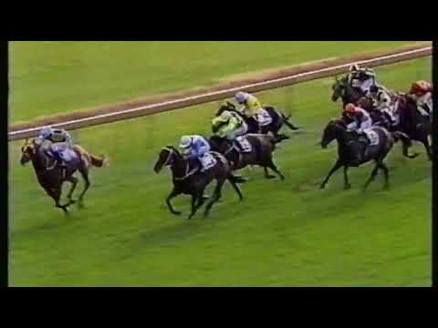 1993 Canterbury Guineas