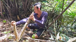 Download lagu Suku Dayak || Batangnya bisa di makan, Daunnya dijadikan Atap mp3