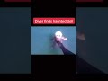 Scariest Moments Caught On Camera