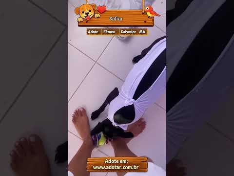 Vídeo de Safira