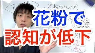 花粉で認知が低下