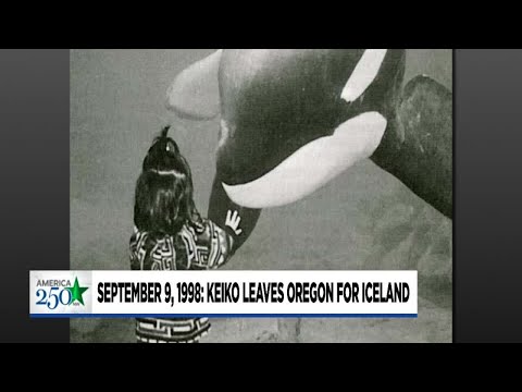 This Day in Oregon History - Sept. 9, 1998: Keiko the Whale leaves Oregon