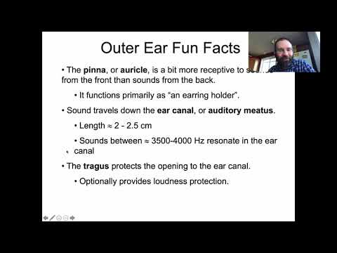 Ling 441 - Advanced Phonetics - Audition, part 1