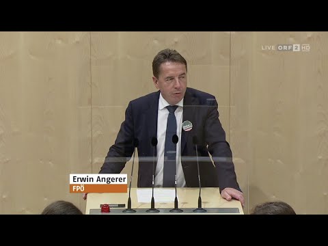 Erwin Angerer - Umsatzsteuergesetz - 30.6.2020