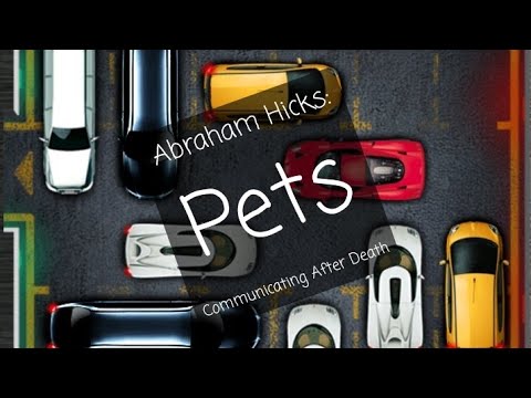 Abraham Hicks: Pet's, Death and Grieving