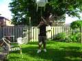 Balancing Demo