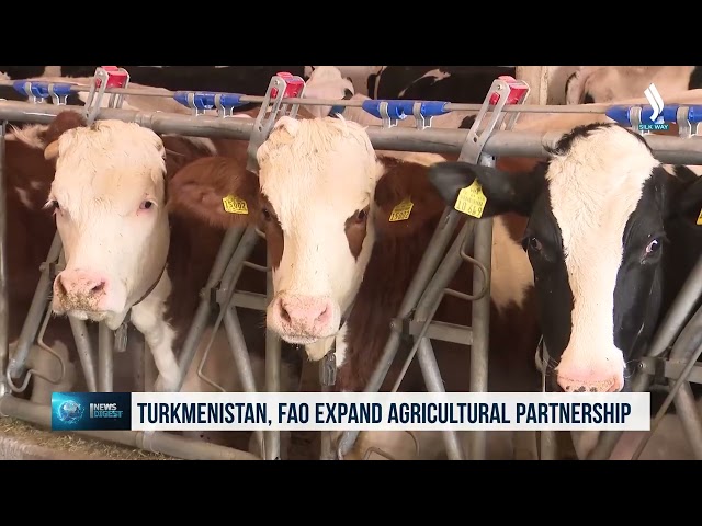 Түрікменстан мен FAO ауыл шаруашылығы саласындағы әріптестікті кеңейтуде