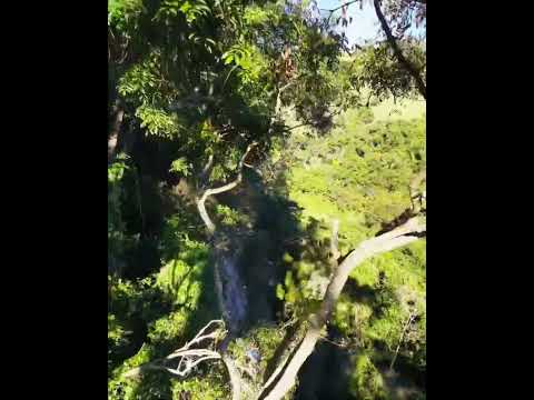 NEO2 FPV MOTION CONTROL CACHOEIRA BUENO BRANDÃO-MG #neo2fpv #buenobrandãomg #shortvideo