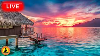 🔴 Best Deep Sleeping Music 2026: Deep Sleep Music, Peaceful Music, Relaxing Sleep | Sleep Meditation thumbnail