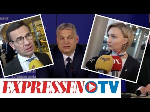 Viktor Orbáns parti Fidesz stängs av i EU-parlamentet