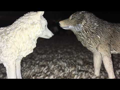 Fight or Flight Ep.6