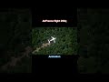 Plane Crashes Animation Vs Real Life Part 2 Planecrash Viral