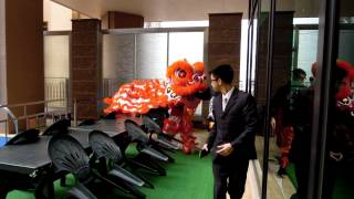 油麻地窩打老道8號新春舞獅表演