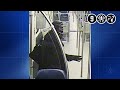 Bussum: 30-jarige vrouw in trein beroofd door man met ijspriem