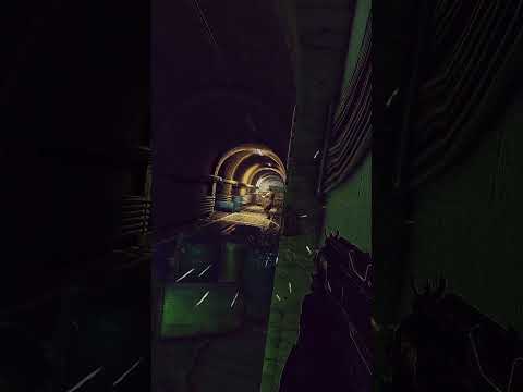 Labs basement rat hunt.