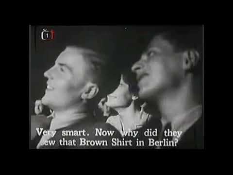 Voskovec a Werich Pěst na oko