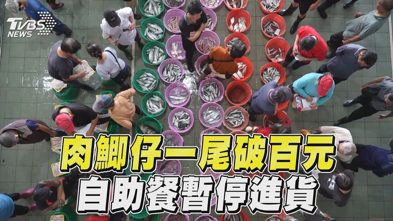 氣候危機／海水暖化！昔台灣國民魚「肉鯽仔」銳減　買不到也吃不起