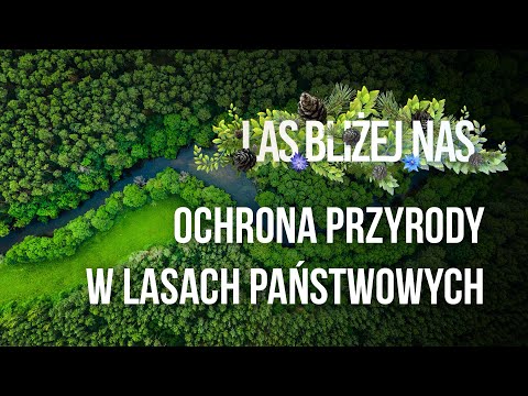 Las bliżej nas - Ochrona przyrody w Lasach Państwowych
