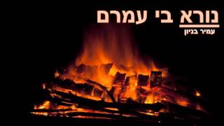 עמיר בניון
