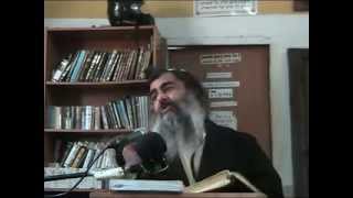 הרב שלום סבג -  - בכורות