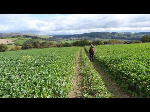 Bishop's Castle Walks In Shropshire, England, UK