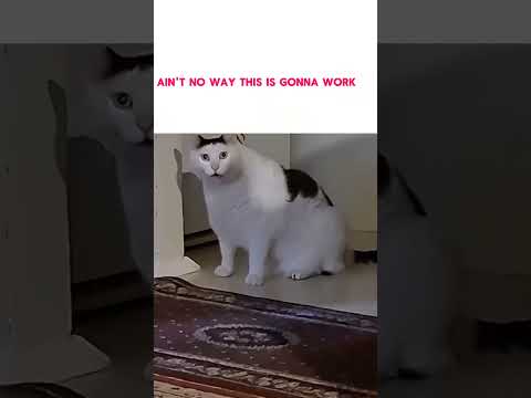 don't check the sound!!!!!!!!!