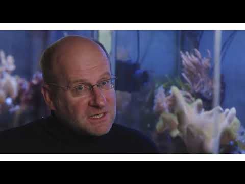 Aquaculture and Mariculture