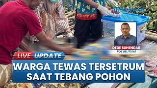Nasib Pilu Warga di Belitung Tewas Tersengat Listrik saat Tebang Pohon, Sempat Terdengar Ledakan
