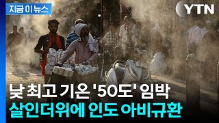펄펄 끓는 날씨에 사망자 속출하는 인도...동물들도 줄폐사 [지금이뉴스] / YTN