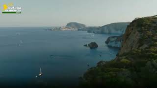 sequestrate-due-piantagioni-di-marijuana-nella-giamaica-d-italia