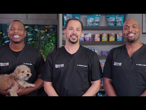 sentinel spectrum 12 pack