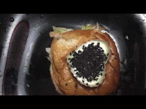 ADVENTURES OF  SHASMEEN. HOMEMADE PULL ME UP BURGER